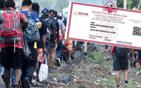 Todo lo que necesitas saber sobre la CURP para extranjeros en México
