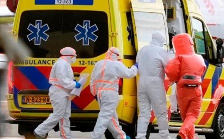 Brote de Hantavirus: ¿Deberíamos preocuparnos por el riesgo de contagio?