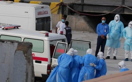 Alerta mundial por hantavirus: el crucero en cuarentena y sus implicaciones