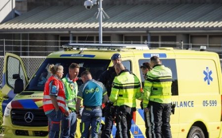 El brote de hantavirus en el crucero MV Hondius: Un pánico silencioso en alta mar