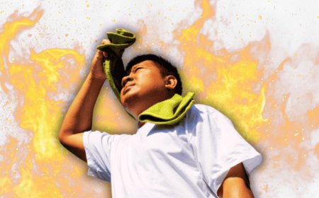 ¿Por qué las temperaturas extremas y tormentas son la nueva normalidad en México?