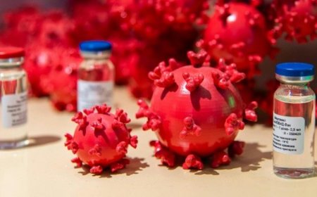 Norovirus: el nuevo brote que azota al crucero Caribbean Princess