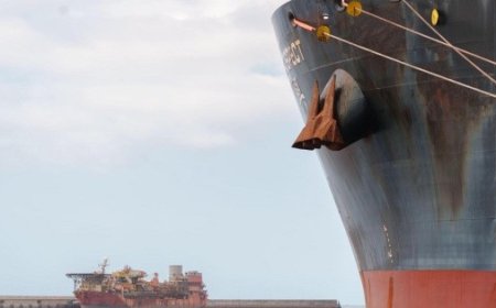 Crisis en Alta Mar: La OMS y el Hantavirus en Crucero Hondius