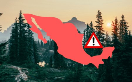 Oaxaca, el estado más letal para ambientalistas en México: un preocupante retrato