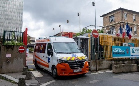 Un Crucero en Crisis: Hantavirus y la Evacuación Internacional de Pasajeros