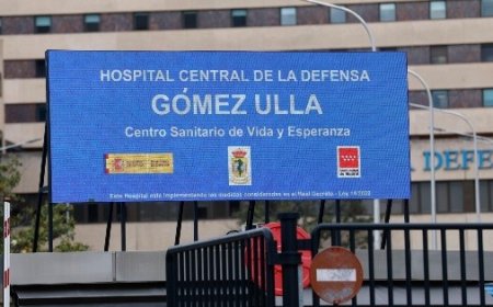 Nuevo brote de hantavirus en España: ¿qué significa para la salud pública?