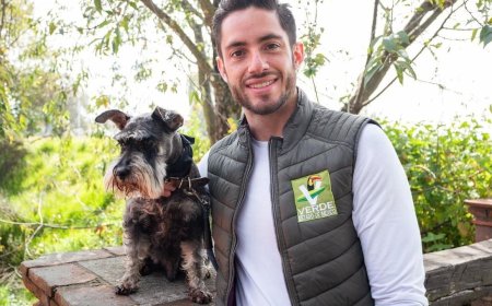 No más venta de animales en la calle: Partido Verde impulsa avance histórico en Edomex