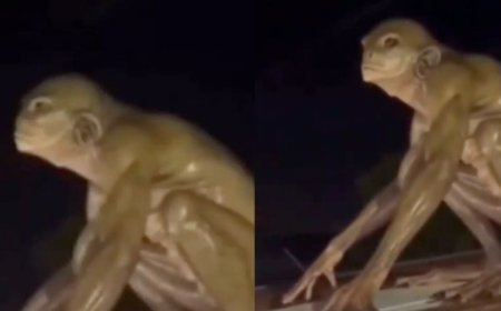 ¿Real o IA? La verdad sobre el alien reptiliano en Monterrey