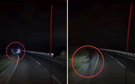 El Instinto de Supervivencia: Trailero Atropella a Asaltantes en Puebla-Orizaba