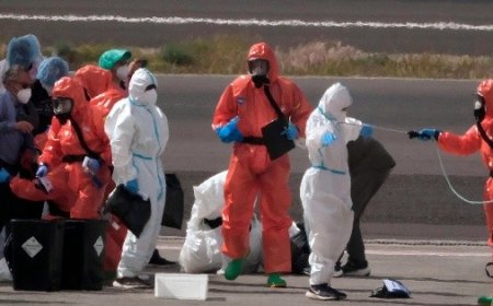 Hantavirus en Crucero: Un Análisis del Riesgo Actual y sus Implicaciones