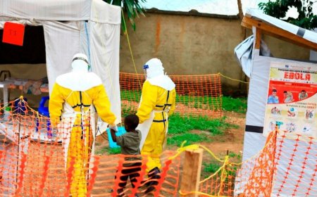 Nuevo brote de ébola: ¿qué sabemos sobre esta cepa mortal en África?