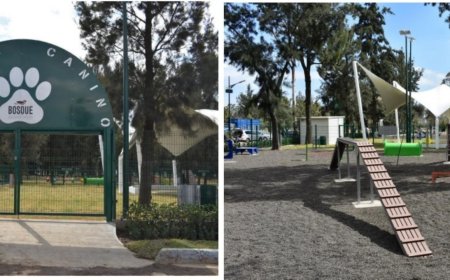 Claudia Sheinbaum y su compromiso con la recuperación de espacios verdes en CDMX