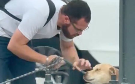 Polémica en redes: hombre agrediendo a perrito afuera de Metro Copilco