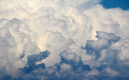 Calor extremo en Tampico: ¿cómo afectará a los residentes este domingo?