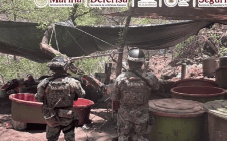 Desmantelan narcolaboratorios en Jalisco, Nayarit y Sinaloa; dos están ligados con "El Jardinero"