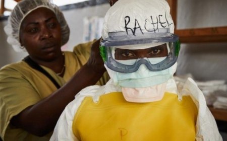 Brote de ébola en África: ¿Una nueva emergencia internacional que nos afecta a todos?