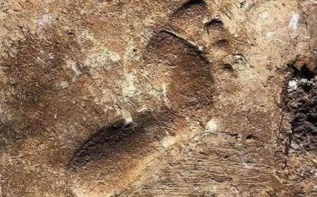 La huella de un trabajador de hace 4,000 años que revela la vida en Ur