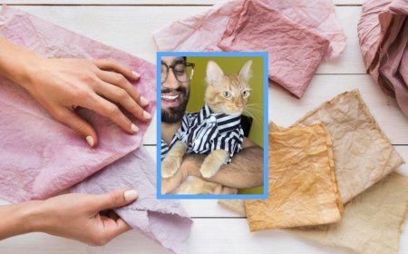 Felipo, el gatito que se convierte en modelo de moda sustentable