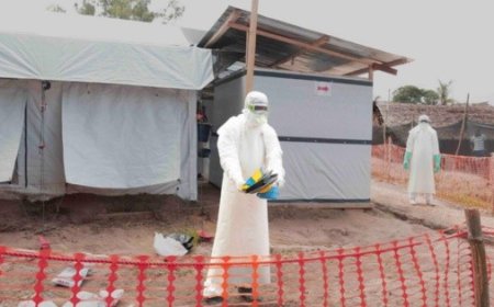 Alarma Mundial: El Brote de Ébola en la RDC y su Rápida Propagación