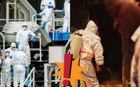 Ébola y Hantavirus: ¿Por qué México activa la vigilancia epidemiológica?