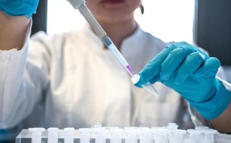 México se prepara para posibles contagios de Ébola y Hantavirus