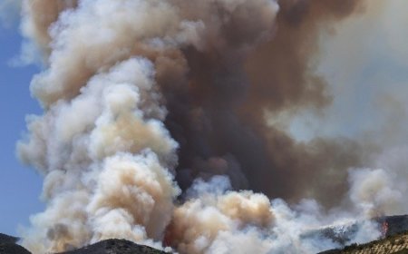 Incendios forestales en California: Evacuaciones masivas y una nueva crisis ambiental