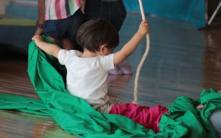 Una Fiesta Cultural en Bellas Artes: Celebrando 30 Años de Alas y Raíces