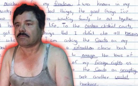 Joaquín 'El Chapo' Guzmán clama su inocencia y pide regresar a México