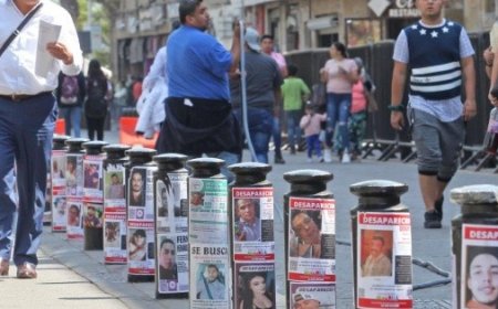 La nueva CURP para personas desaparecidas: un paso hacia la justicia y protección