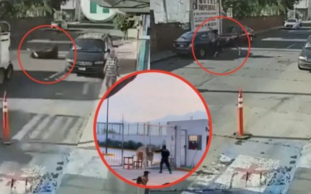 Increíble: Toros escapan y causan caos en las calles de México