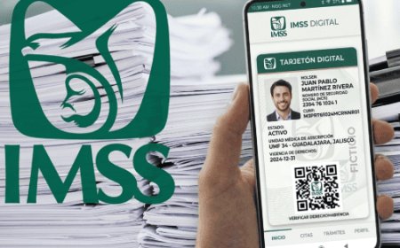 Todo lo que necesitas saber sobre el Tarjetón Digital del IMSS 2026