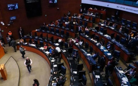 Anular elecciones por intervención extranjera avanza en comisiones del Senado