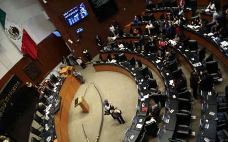 Avalan mayoría de congresos locales reformas al Poder Judicial y de nulidad de elecciones