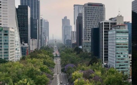 Hoy No Circula: Así aplica este viernes 29 de mayo en CDMX y Edomex