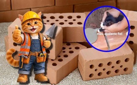 Video viral: gatito supervisa a un albañil y termina ayudándolo a construir