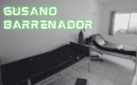 Detectan tres nuevos contagios por gusano barrenador en CDMX