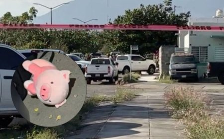 Colocan cerdito de peluche rosa junto al cadáver de un joven en Culiacán; es el tercer caso detectado este mes