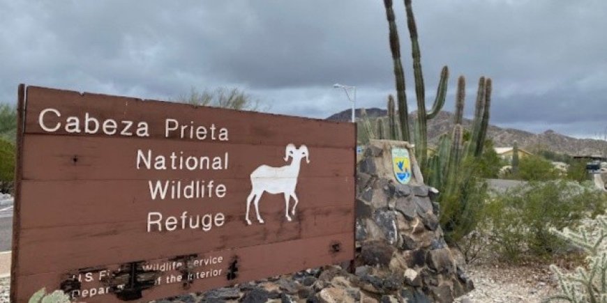 Destrucción de Sitio Arqueológico en Arizona: Un Efecto Colateral del Muro Fronterizo de Trump