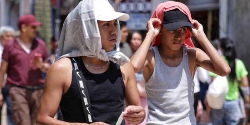 Cómo armar un botiquín de emergencia para enfrentar el calor extremo en 2026