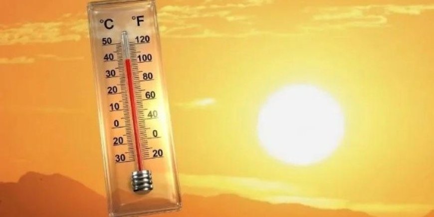 Ola de calor en México: ¿Cómo enfrentar las temperaturas extremas?