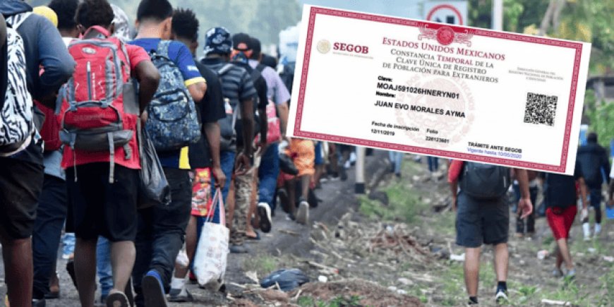 Todo lo que necesitas saber sobre la CURP para extranjeros en México