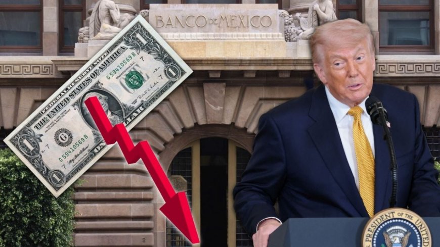 El precio del dólar hoy: ¿qué significa su baja frente al peso mexicano?