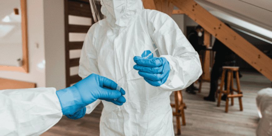 Crisis de hantavirus: Repatriación y cuarentena para pasajeros de crucero