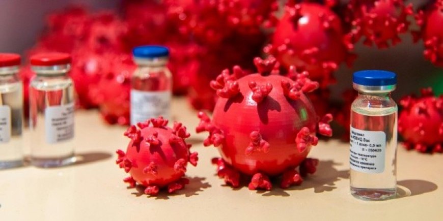 Norovirus: el nuevo brote que azota al crucero Caribbean Princess