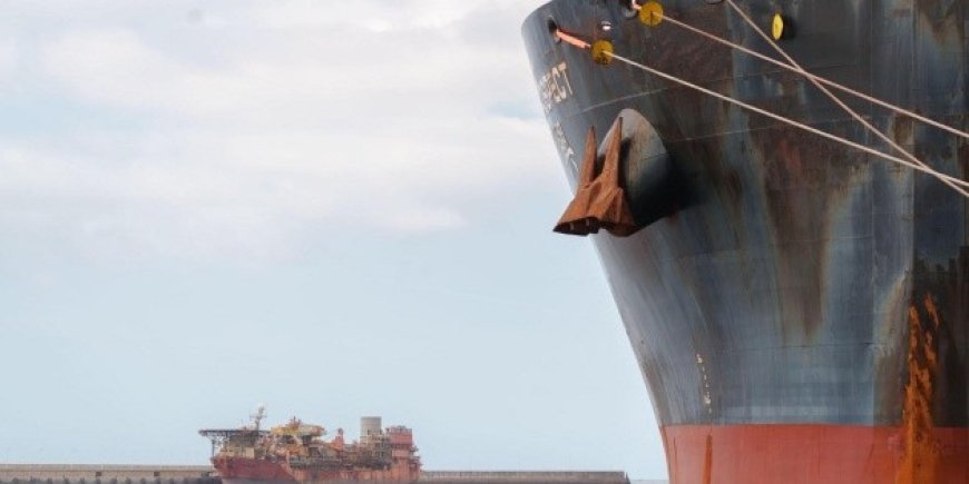 Crisis en Alta Mar: La OMS y el Hantavirus en Crucero Hondius