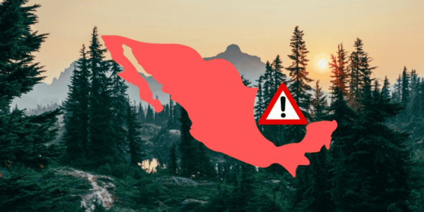 Oaxaca, el estado más letal para ambientalistas en México: un preocupante retrato