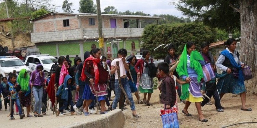 El impacto de la violencia en Chilapa: 120 desplazados y un grito de auxilio