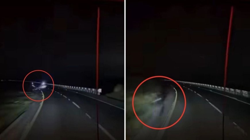 El Instinto de Supervivencia: Trailero Atropella a Asaltantes en Puebla-Orizaba