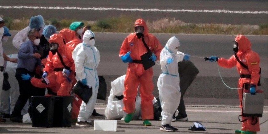 Hantavirus en Crucero: Un Análisis del Riesgo Actual y sus Implicaciones