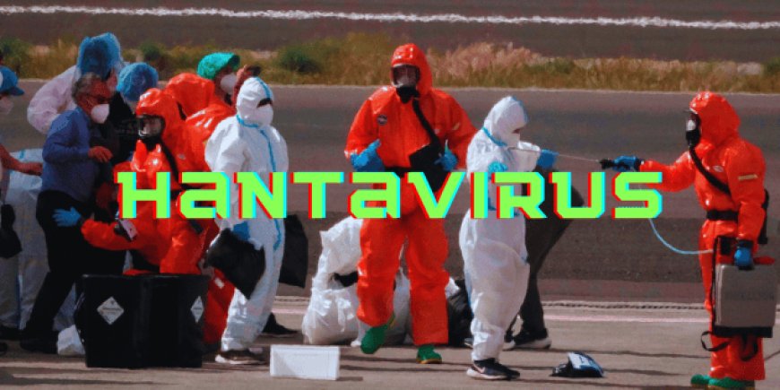 Brote de hantavirus en crucero: ¿Cuánto riesgo representa para el mundo?